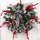 Prairie Gardens wreath