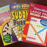 Puzzle Books